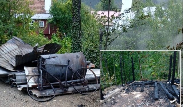 Büyük felaket: Kastamonu'da samanlıkların ve garajın üstüne yıldırım düştü!