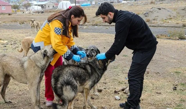 Kastamonu İl Sağlık Müdürü açıkladı: Her yıl 60 bin kişiyi canından ediyor!