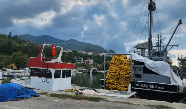 Kastamonu'da av sezonu başladı: Balıkçılara kota uygulaması!