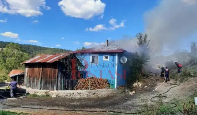 Kastamonu'da yangın: Müdahale ediliyor!