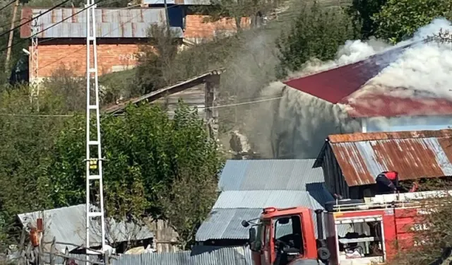 Kastamonu'daki yangın kontrol altına alındı!