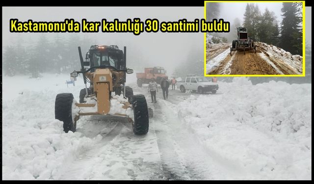 Kastamonu’da ulaşıma kapanan köy ve orman yolları açılıyor