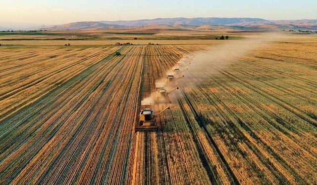 Hükümet harekete geçti: Kastamonu'da tarlası ve arsası olanlar dikkat! 5 Nisan 2025'te tespit edilecek