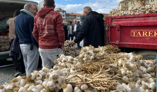 Sarımsak fiyatlarında artış var mı? Taşköprü Sarımsak Pazarı’nda son durum nedir?