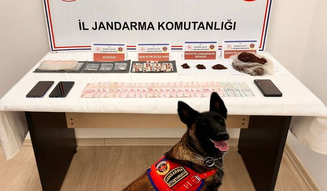 Kastamonu'da jandarmadan operasyon: 1 kişi tutuklandı