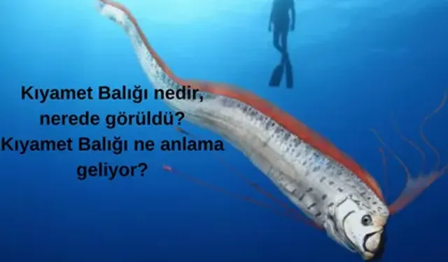 Kıyamet Balığı nedir, nerede görüldü? Kıyamet Balığı ne anlama geliyor?