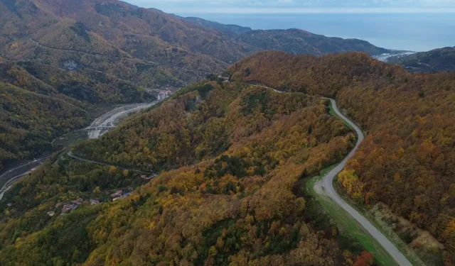 Sonbaharın renk cümbüşü: Kastamonu ormanları göz kamaştırıyor!