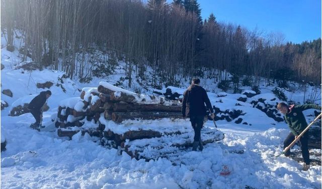 Kastamonu da kar onlar için engel değil!