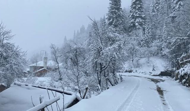 Kastamonu'da kar kalınlığı 30 cm'ye ulaştı