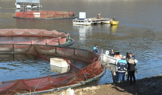 Kastamonu'da 14 işletmede başlandı: 420 ton hasat edilecek!