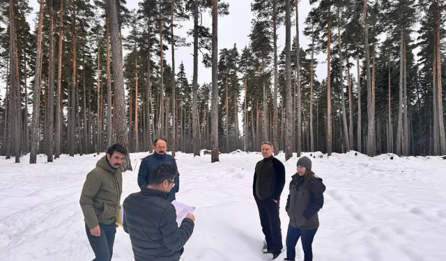 Kastamonu'da ormancılık çalışmaları denetlendi