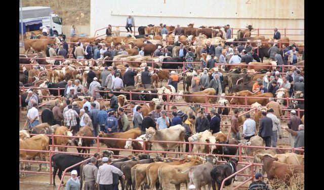 Taşköprü ve Tosya’nın ardından Devrekani’de kapatıldı!