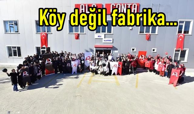 Kastamonu'nun bu köyünde öyle bir iş yapılıyor ki, kimse göç etmiyor! (görüntülü haber)