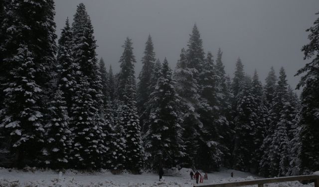 Kastamonu'nun o bölgesinde kar kalınlığı 30 santimetreye yükseldi!