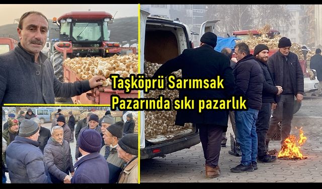 Taşköprü Sarımsak Pazarında soğuk havada sıcak pazarlık: Taşköprü'de sarımsak fiyatları ne kadar?