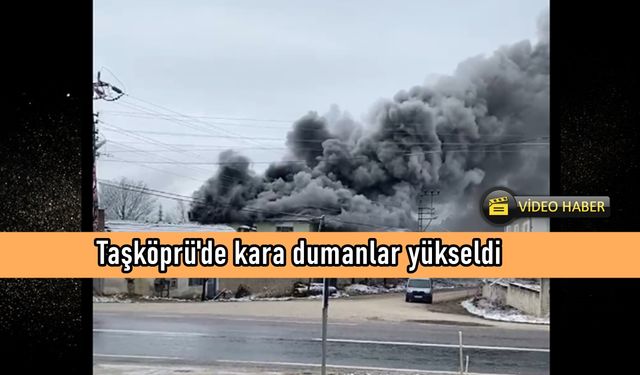 Taşköprü Ayvalı Köyü'nde korkutan yangın: Kara dumanlar yükseliyor