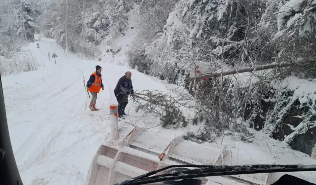 Kastamonu'nun ilçesinde karla mücadele sürüyor: Ekipler seferber oldu