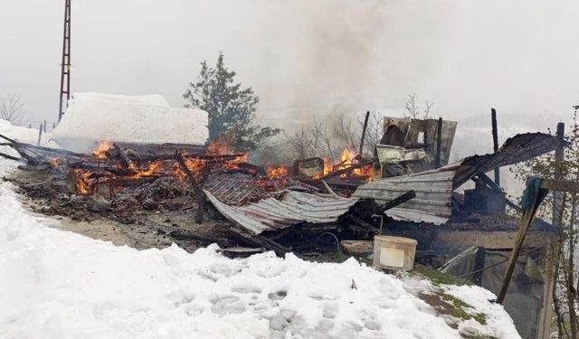 Ahşap ev küle döndü, ev sakinleri canlarını son anda kurtardı