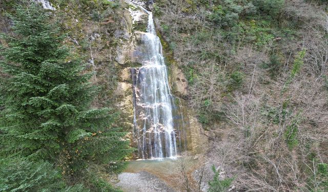 Kastamonu'nun saklı cenneti: Değirmendere Şelalesi görenleri büyülüyor