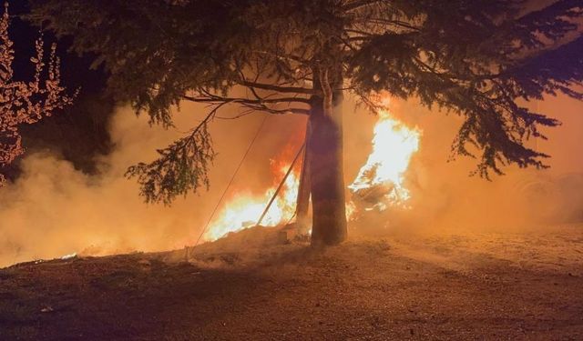 Dinlenme Tesisinde Korkutan Yangın: Maddi Hasar Oluştu!