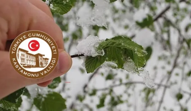 Kastamonu için zirai don alarmı: Çiftçiler dikkat!