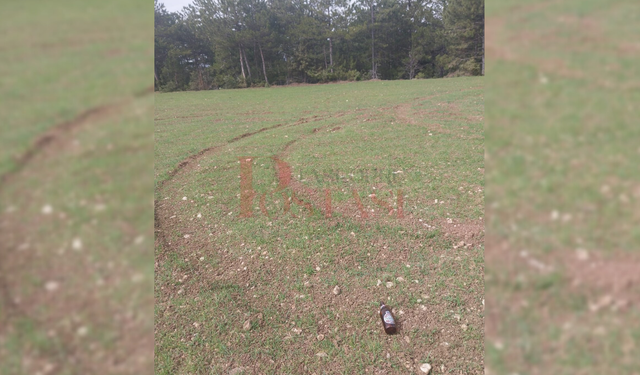 Kastamonu'da buğday tarlasında drift yaparak zarar verdiler!