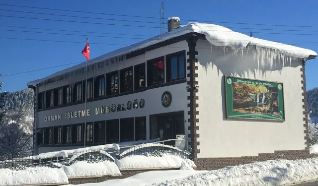 ORMAN İŞLETME MÜDÜRLÜĞÜ-KÜRE DİĞER ÖZEL BÜTÇELİ KURULUŞLAR ORMAN GENEL MÜDÜRLÜĞÜ