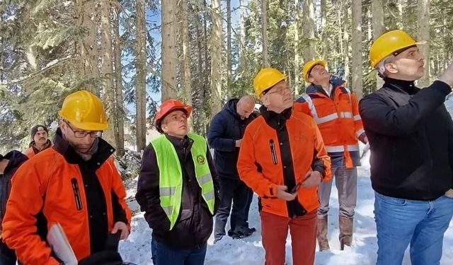 Fransız Heyet Daday’da Ormancılığı Yerinde İnceledi