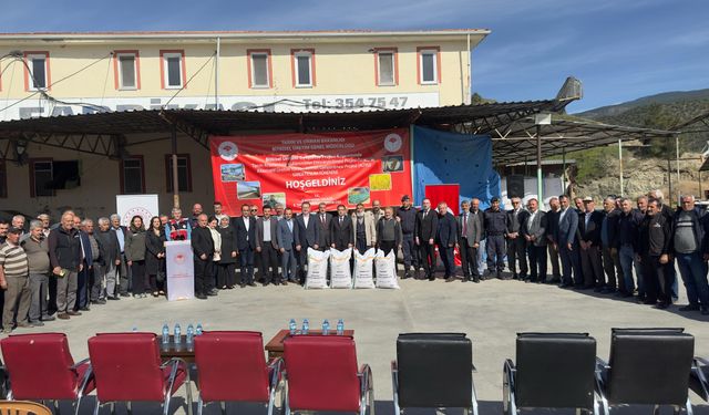 Kastamonu'nun ilçesinde çeltik üreticilerine 52 ton tohum dağıtıldı!