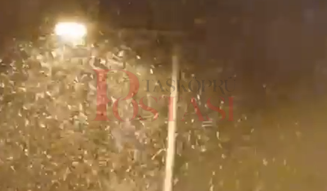 Kastamonu'nun ilçesinde kar yağışı etkili oluyor!