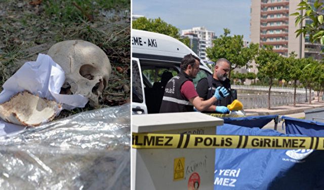 Çöpte kafatası bulundu: Doktorun evinden atılmış!