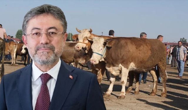 Kastamonulu Bakandan 'şap' açıklaması: Hayvan pazarları açılıyor!