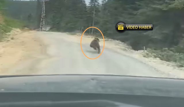Kastamonu’da sıradan bir gün (görüntülü haber)