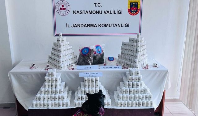 Yaşam