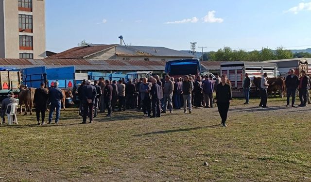 Kurban Bayramı Öncesi Büyük İlgi! Kastamonu’daki O İlçede Pazarlıklar Gün Işığında Başladı