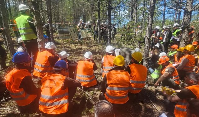Taşköprü’de orman yönetimi güçleniyor: Eğitimlerle donanım artıyor
