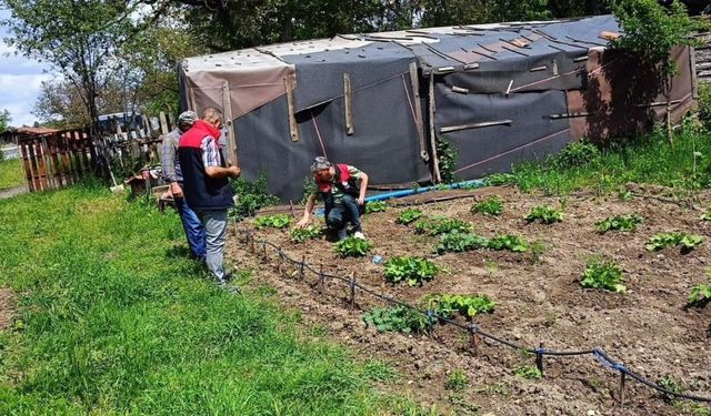 764 Üreticiye Yüzde 50 Hibeli Sera Naylonu: Kastamonu’da Tarıma Can Suyu