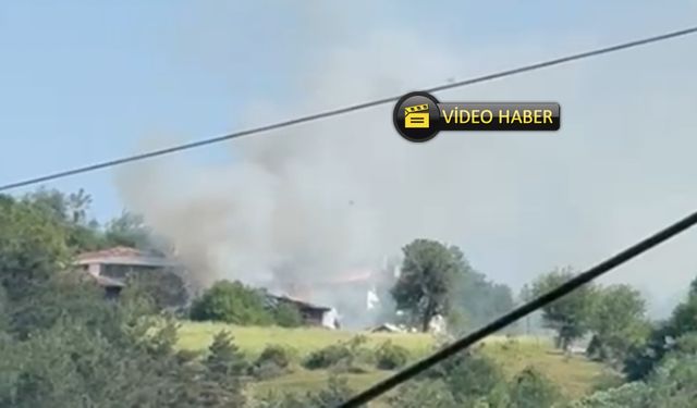 Son dakika! Kastamonu'daki köyde alevler yükseldi: Komşu evler tehdit altında (görüntülü haber)