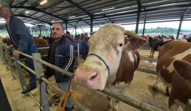 Hareketlilik arttı: Bartın, Kastamonu, Bolu, Zonguldak, Karabük gibi 10 ile hizmet veriyor