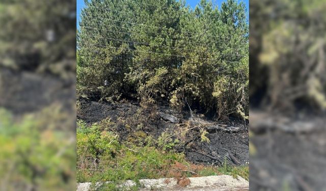 Son Dakika: Kastamonu’da Korkutan Yangın! Ekipler Zamanında Yetişti