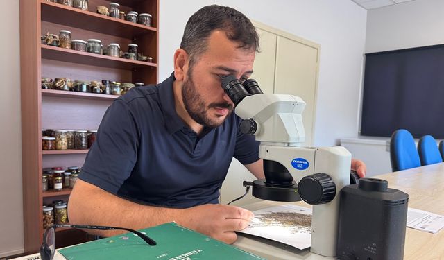 Kastamonu'dan bilim dünyasına yeni keşif: Horma Kanyonunda keşfedildi