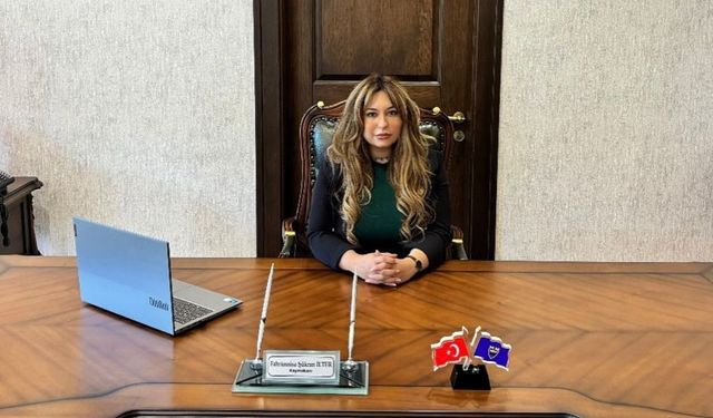 Kastamonu Valiliği Atadı, İlçe Kaymakam Vekili Göreve Başladı