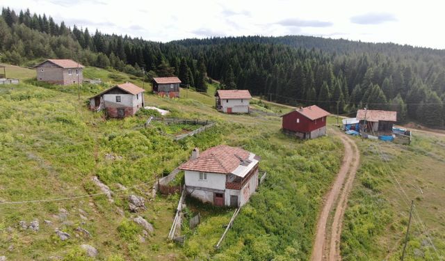 Kastamonu'da 48 kilometrelik rotada bulunan 33 yayla koruma altına alınacak!