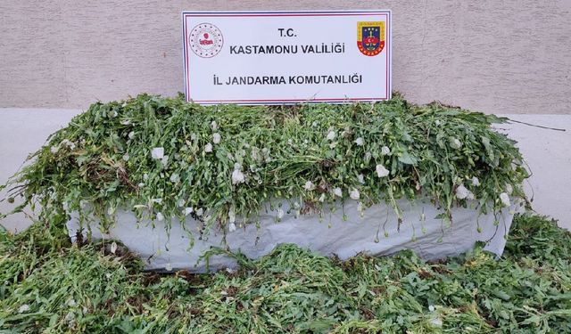 Kastamonu’da Zehir Tacirlerine İzin Verilmedi: Binlerce Ele Geçirildi