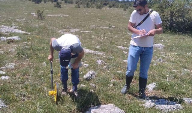 Kastamonu’nun ilçesinde mera verimliliği incelendi