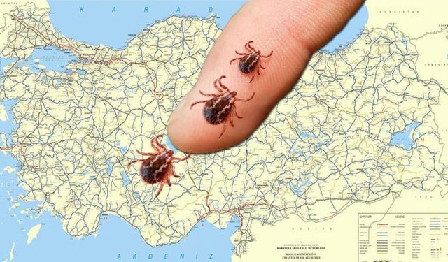 Kastamonu'da riskli iller arasında mı? Kene haritası ortaya çıktı: 5 yılda 256 ölüm