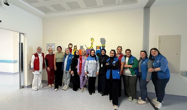 Taşköprü Devlet Hastanesi'ne renkli dokunuş: Hastane duvarlarına umut ve renk