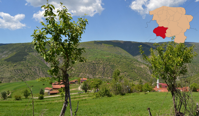 Araç’ta Kaç Cami Var?