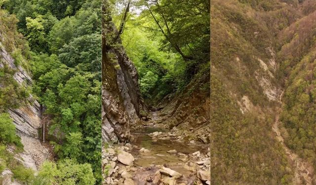 Arafat Deresi ve Şelaleleri: Kastamonu-Sinop Arasında Büyüleyici Bir Keşif