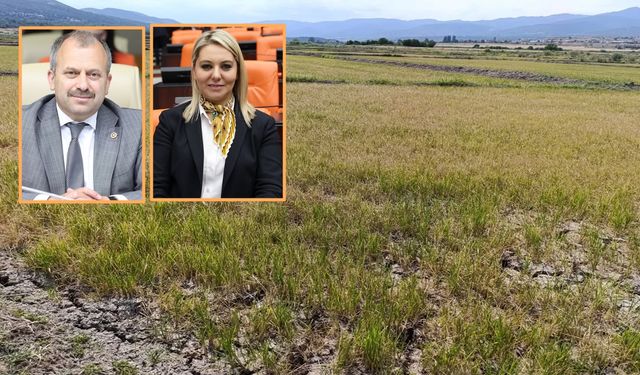 Kastamonu’da muhtardan sitem: Çaresiz muhtardan milletvekillerine davet!